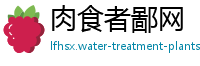 肉食者鄙网